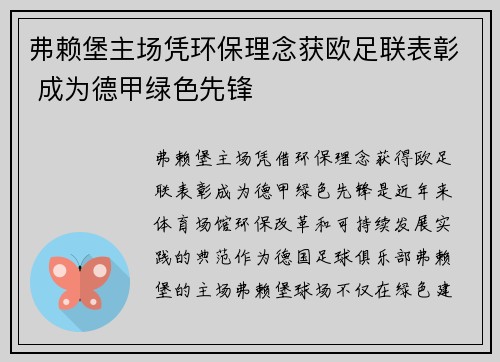 弗赖堡主场凭环保理念获欧足联表彰 成为德甲绿色先锋