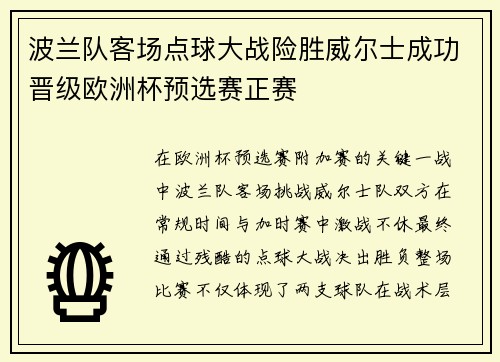 波兰队客场点球大战险胜威尔士成功晋级欧洲杯预选赛正赛